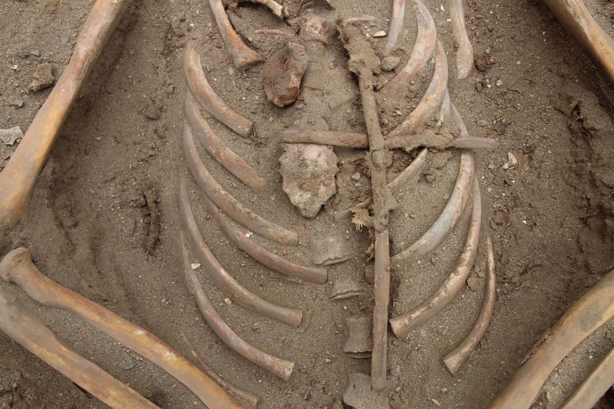 Скелети дітей допомогли розгадати причину смерті 70% корінного населення інків у XVI столітті. Фото
