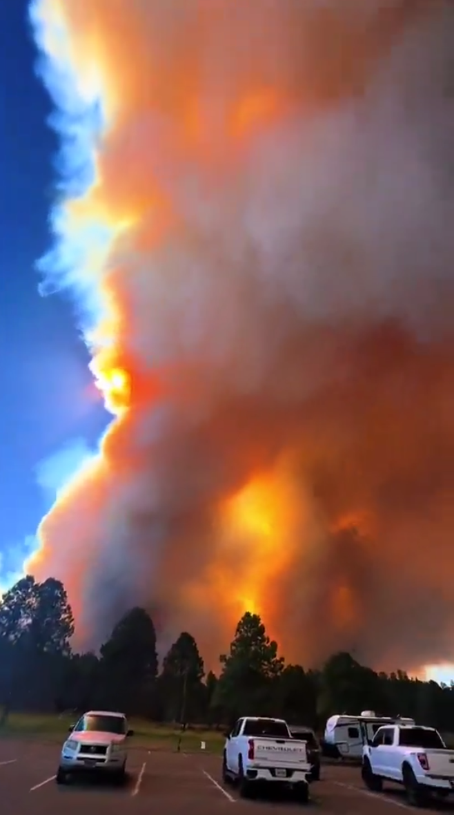 У США вирують лісові пожежі, евакуюють тисячі людей. Фото і відео