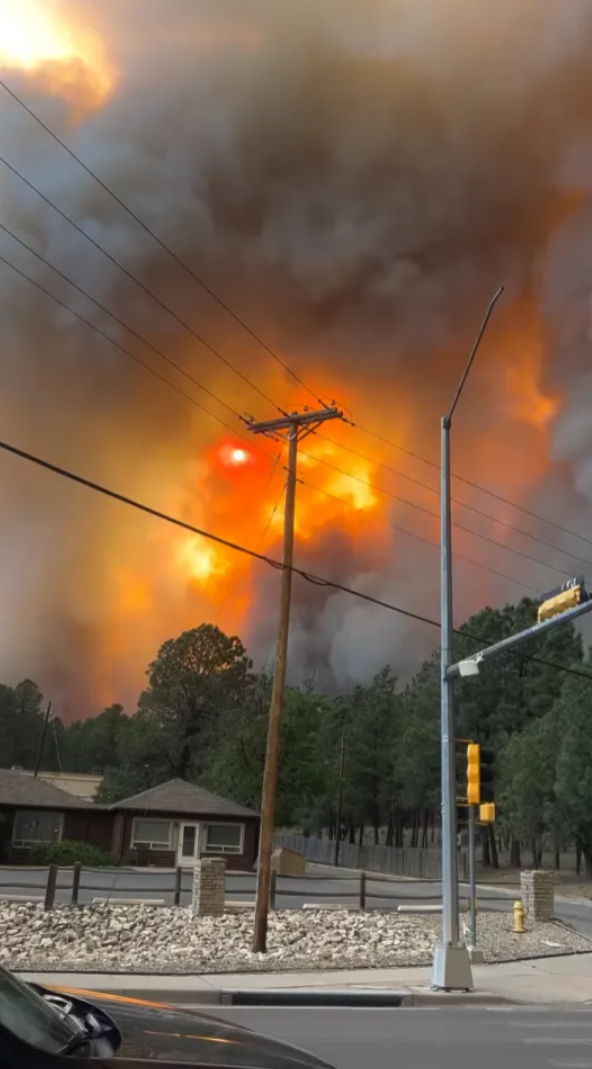 У США вирують лісові пожежі, евакуюють тисячі людей. Фото і відео
