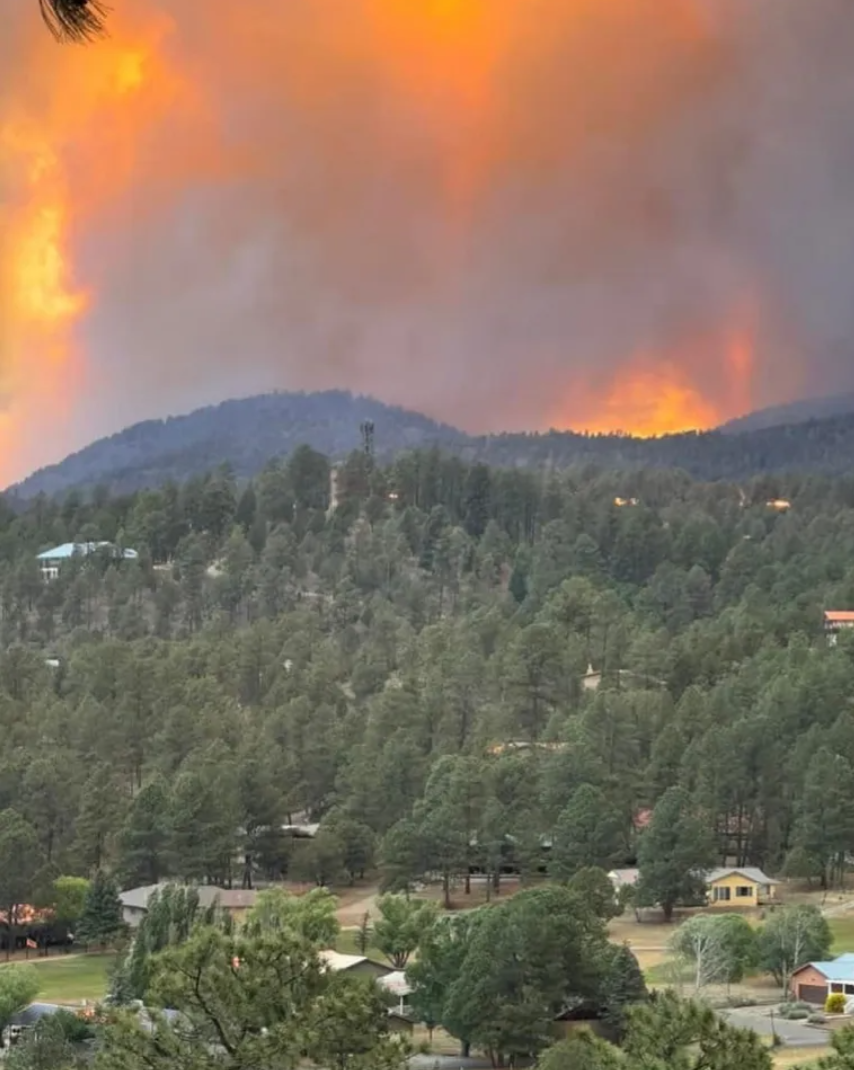 В США бушуют лесные пожары, эвакуируют тысячи человек. Фото и видео