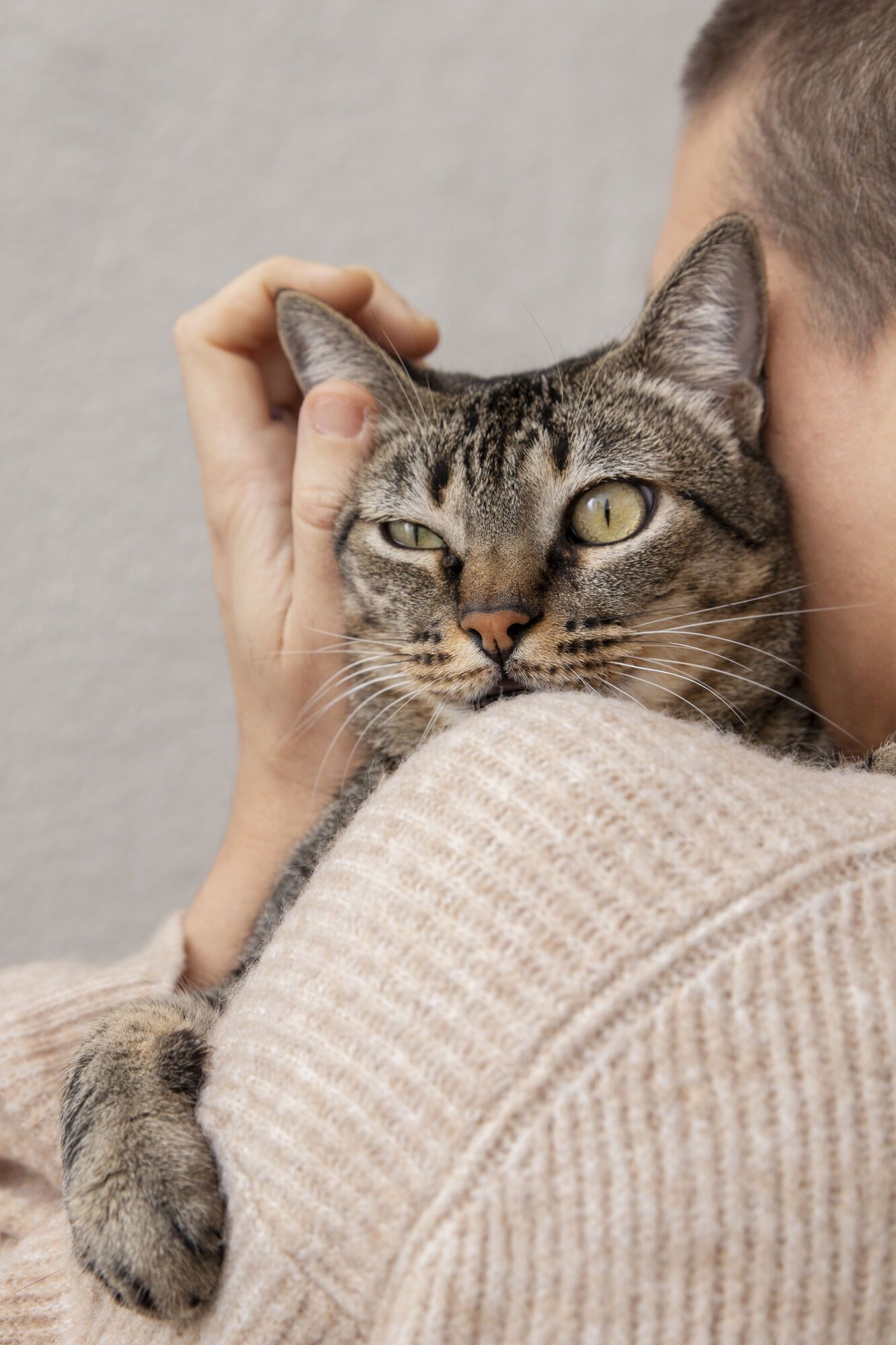 Чому коти нявкають на людей? Вчені з’ясували несподівану причину