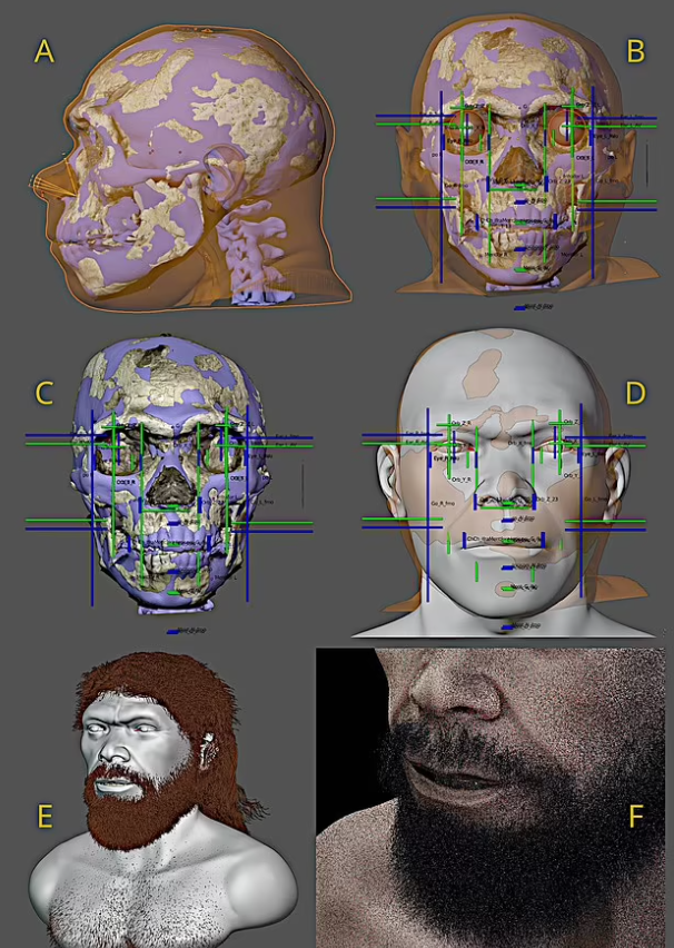 Ученые показали лицо первого в мире человека спустя 300 тысяч лет после его смерти. Фото