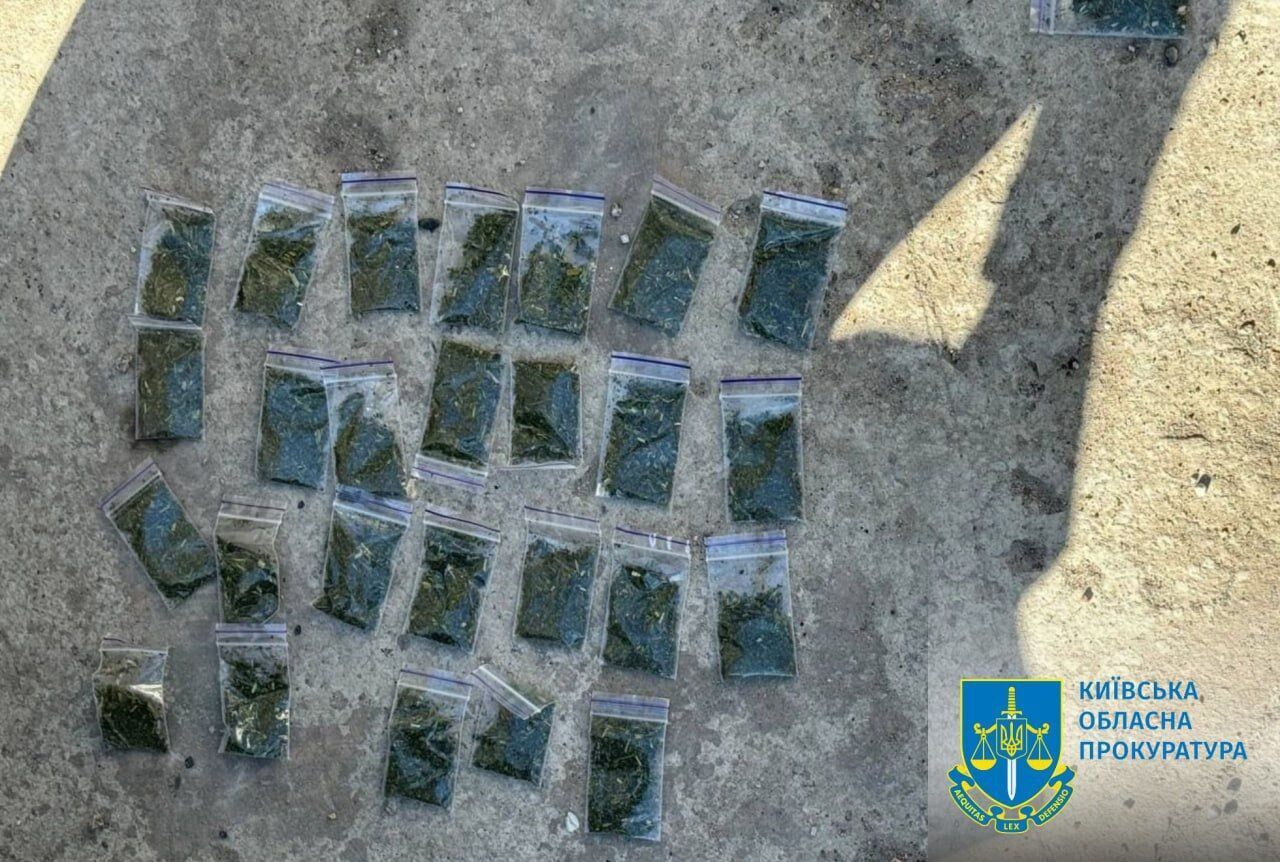 В Киевской области будут судить организованную группу, которая занималась сбытом наркотиков. Подробности дела и фото