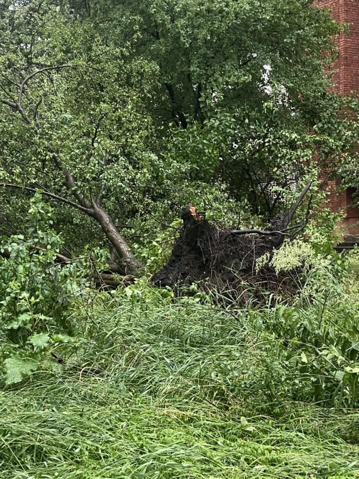 Последствия непогоды во Львове