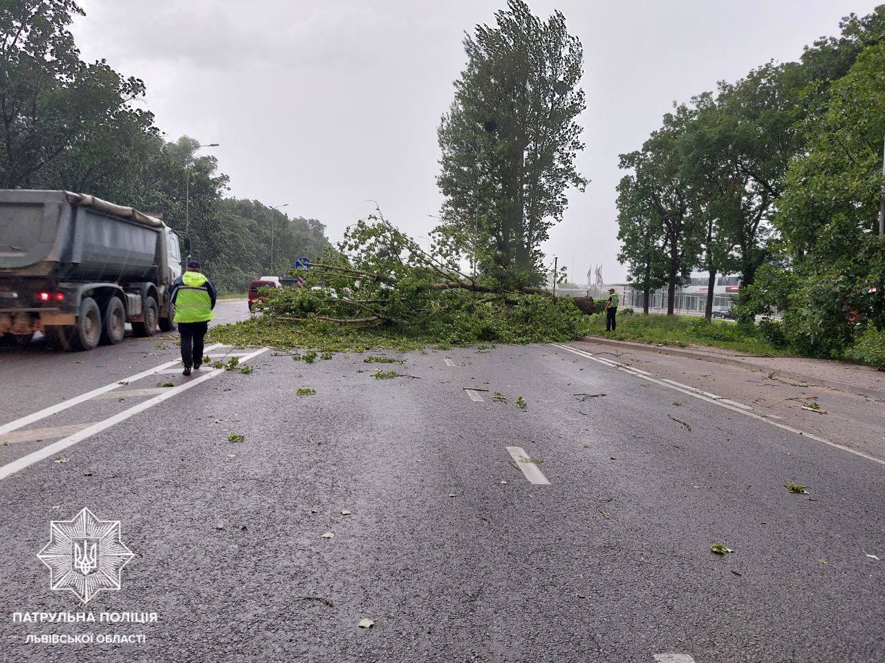 Дерево перекрыло движение