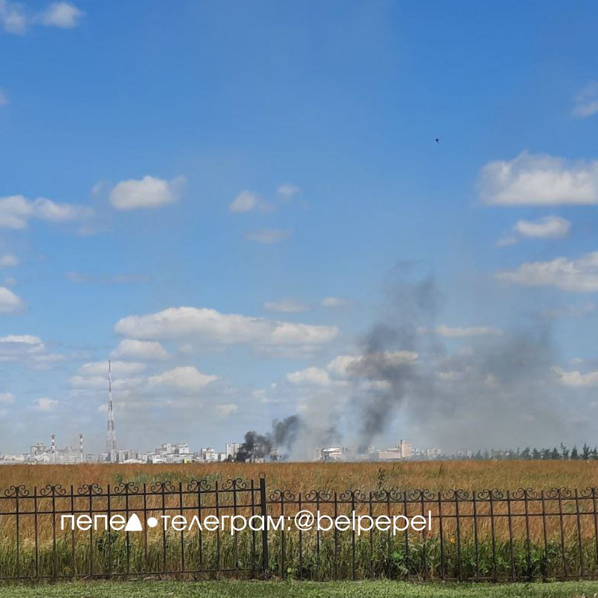 ВСУ уничтожили ЗРК "Панцирь-С" под Белгородом: вторые за двое суток - СМИ