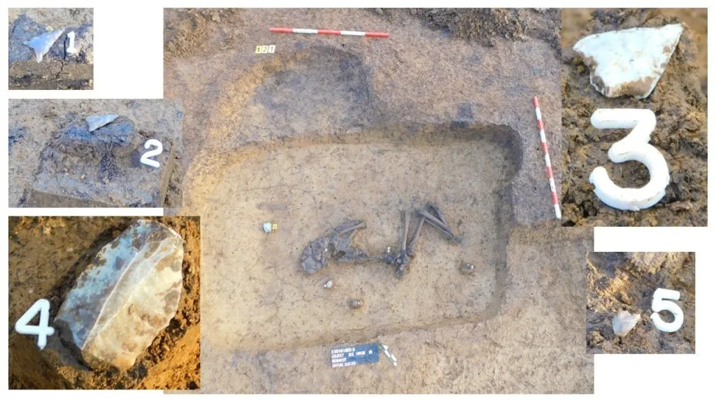 У Чехії виявили унікальний доісторичний курган з могилами: археологи показали фото
