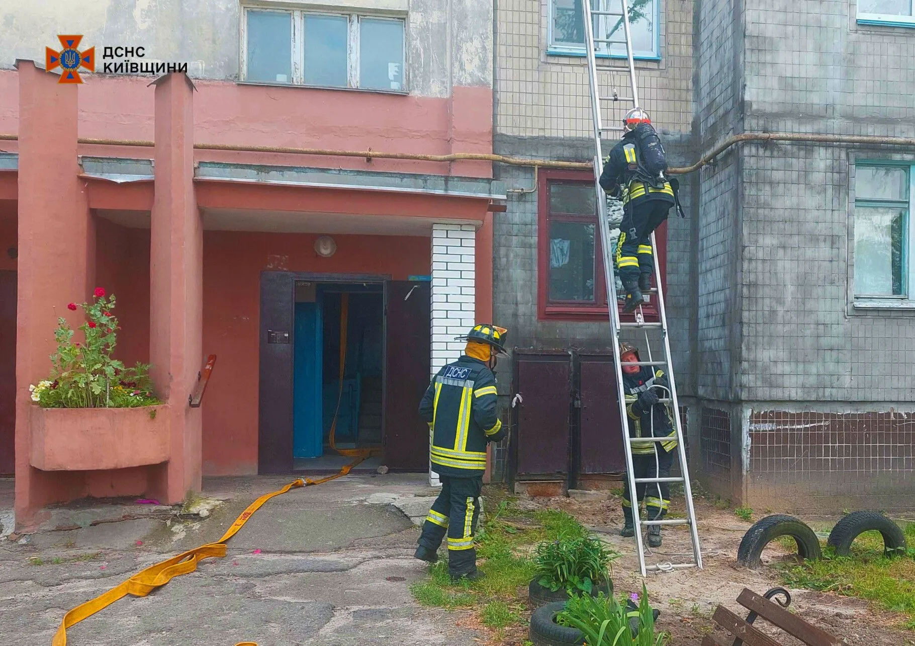 Под Киевом двое котят и квартира едва не сгорели из-за халатности хозяев. Подробности и фото
