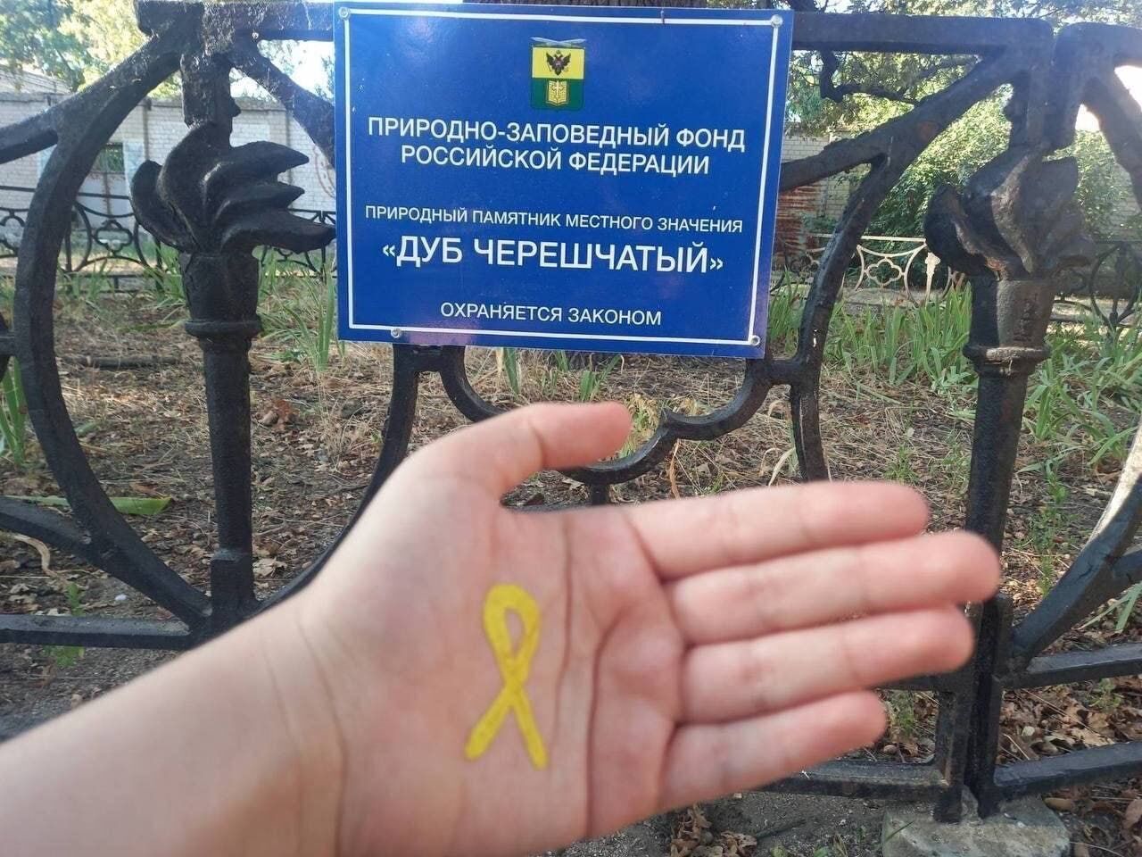 "Це – Україна": в окупованих Донецьку та Мелітополі активісти провели патріотичний флешмоб. Фото