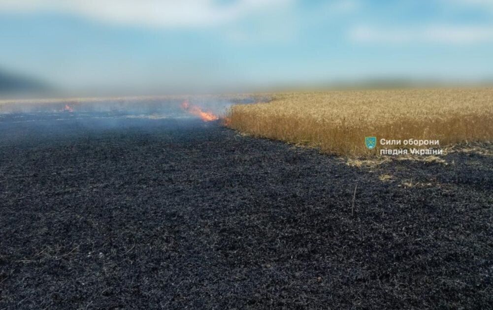 Окупанти вдарили ракетою з касетним зарядом по Одещині: сталася пожежа на полі. Фото 