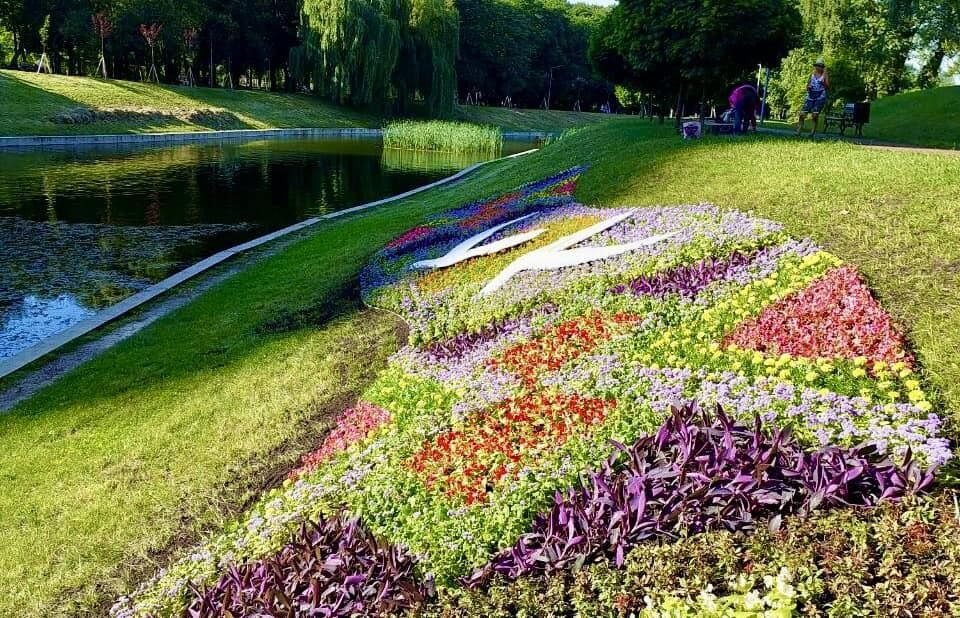 Символізує найбільше бажання всіх українців: у Києві створили новий квітник. Фото
