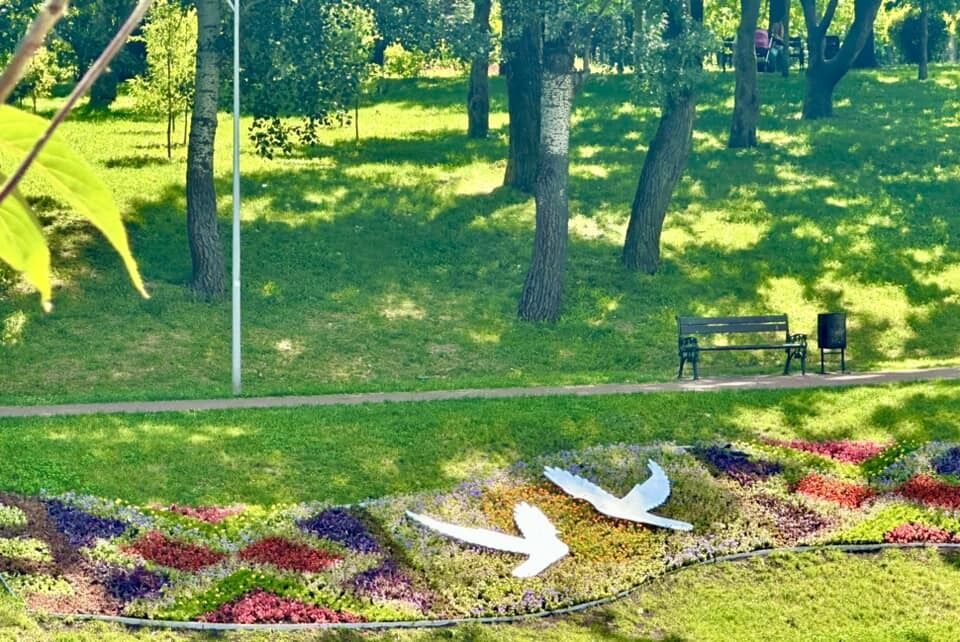 Символизирует самое большое желание всех украинцев: в Киеве создали новый цветник. Фото