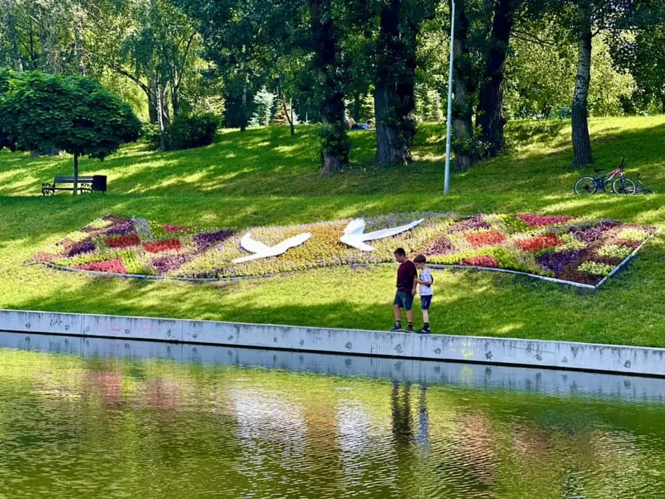 Символизирует самое большое желание всех украинцев: в Киеве создали новый цветник. Фото