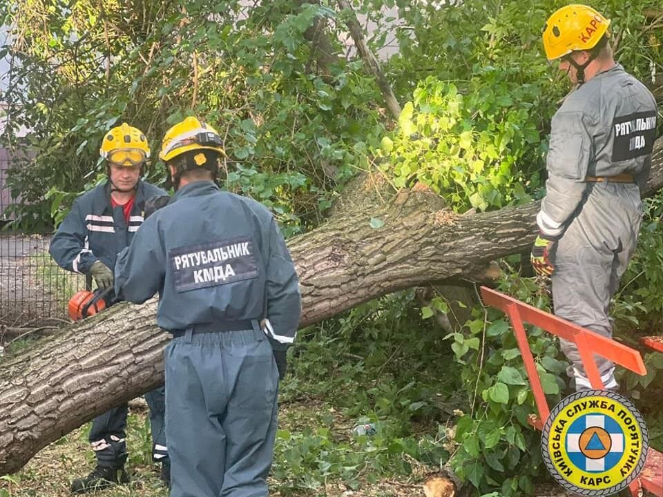 Ховались від негоди: у Києві на Троєщині під час грози дерево впало на намет, є постраждалі. Подробиці і фото