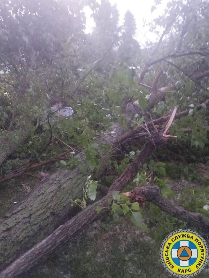 Ховались від негоди: у Києві на Троєщині під час грози дерево впало на намет, є постраждалі. Подробиці і фото