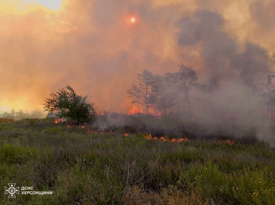 В Херсонской области за сутки из-за российских обстрелов выгорело 16 га экосистем: фото с места