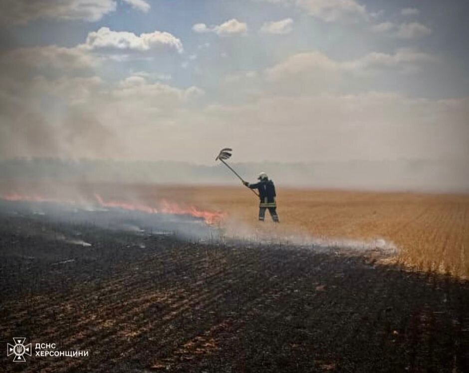 В Херсонской области за сутки из-за российских обстрелов выгорело 16 га экосистем: фото с места