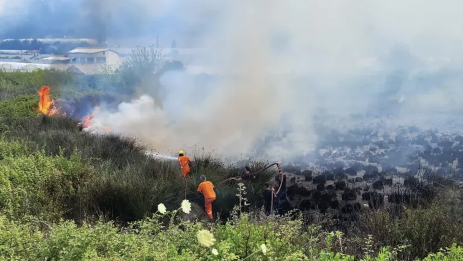 В турецкой Анталии бушует масштабный лесной пожар: огонь тушат с самолетов и вертолетов. Фото