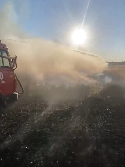 На Запоріжжі через російський обстріл згоріло майже 4 га пшениці. Відео