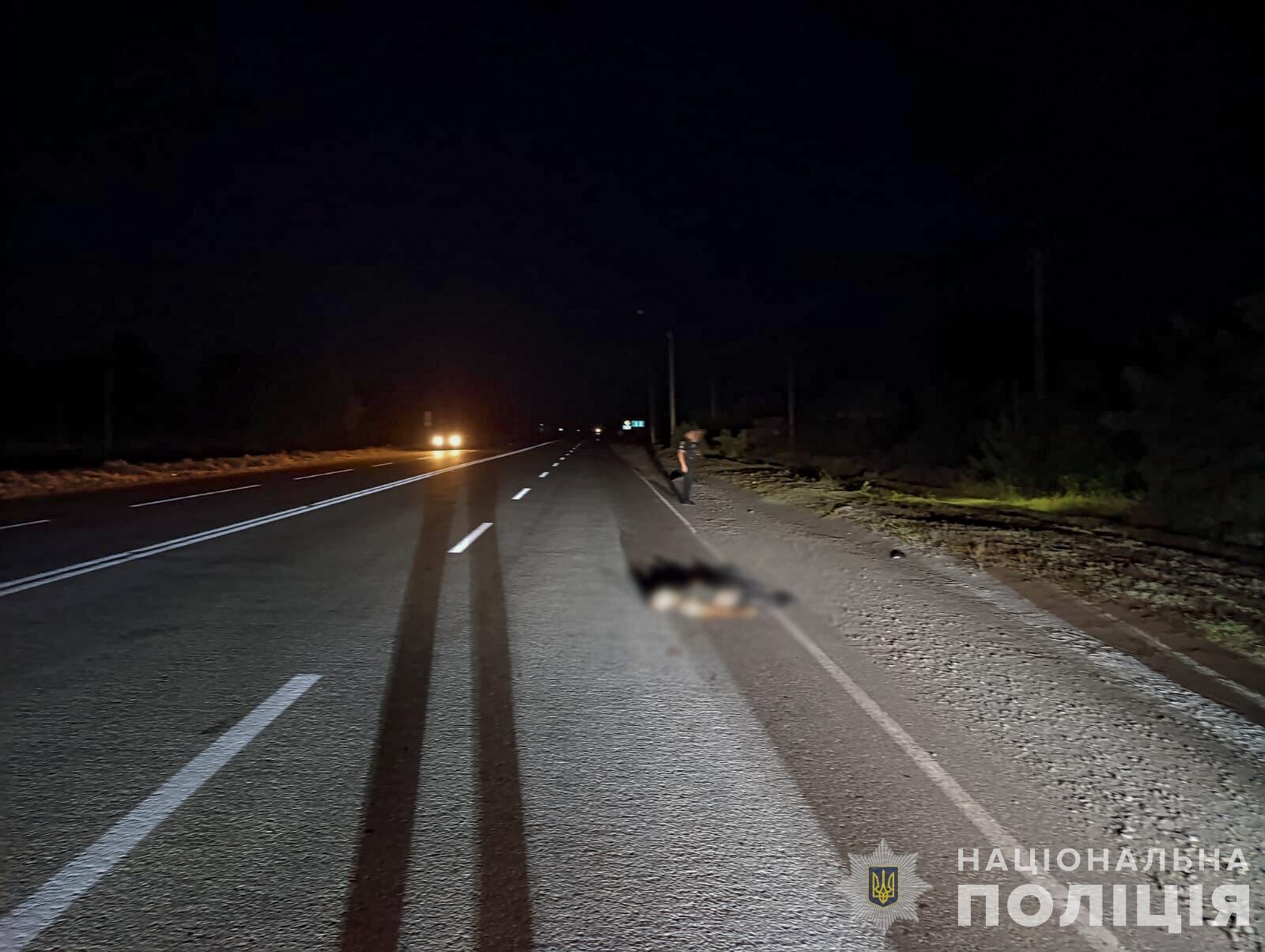 На Запорожье водитель сбил военного и скрылся: мужчина скончался на месте