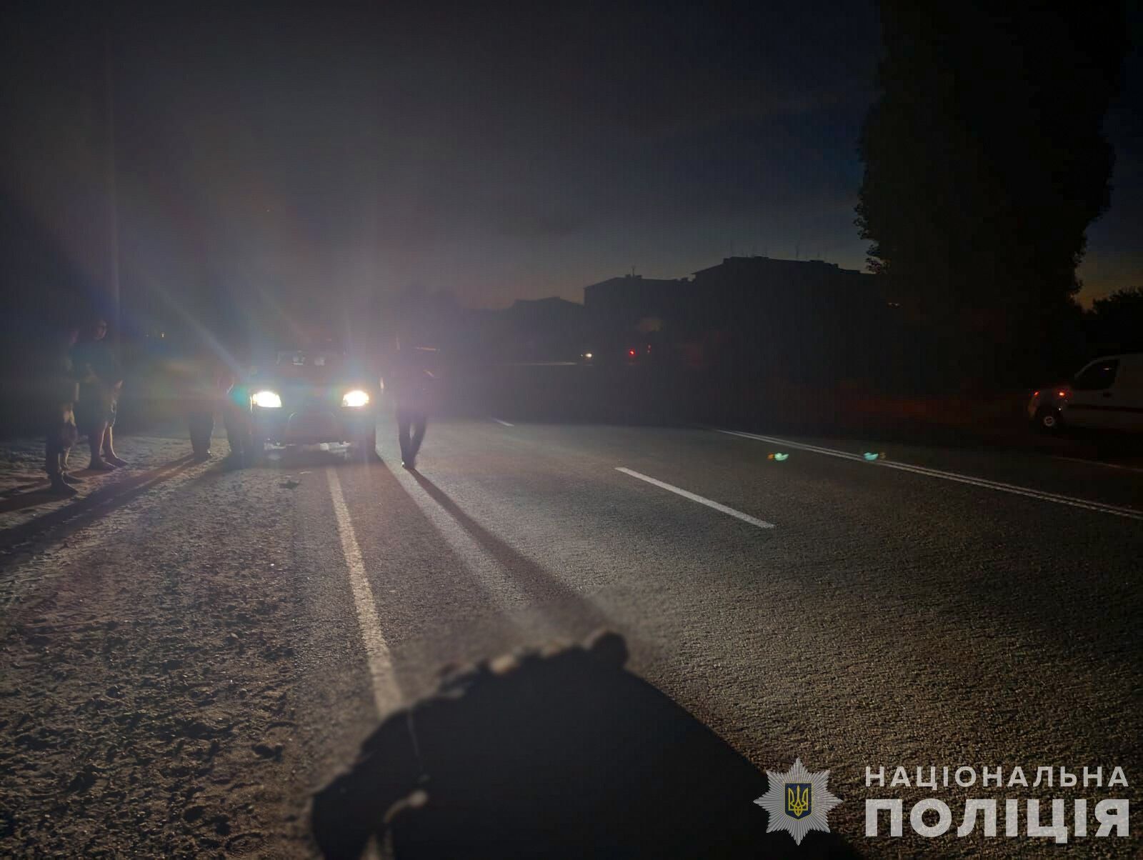 На Запоріжжі водій збив військового і втік: чоловік помер на місці