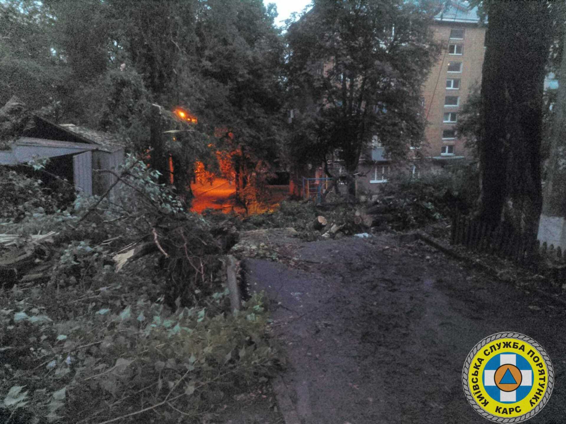 Поваленные деревья и раздавленное авто: в Киеве ликвидировали последствия непогоды, которая бушевала 16 июля. Фото