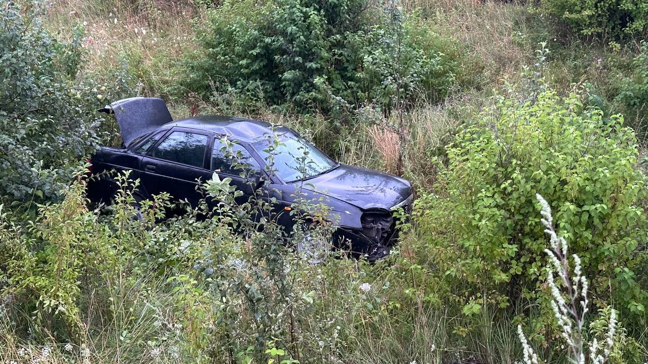 Авто вилетіло в кювет: на Львівщині п’яна велосипедистка спричинила ДТП. Фото