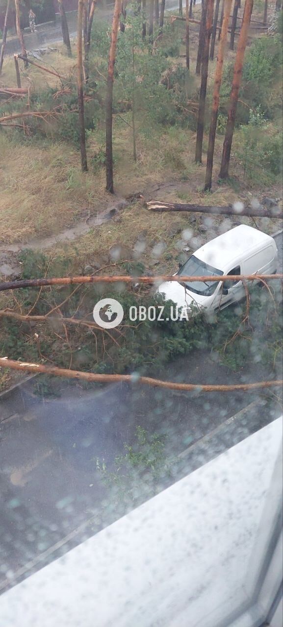 Сломанные деревья упали на детскую площадку и повредили авто: Киев и область накрыла гроза. Фото и видео