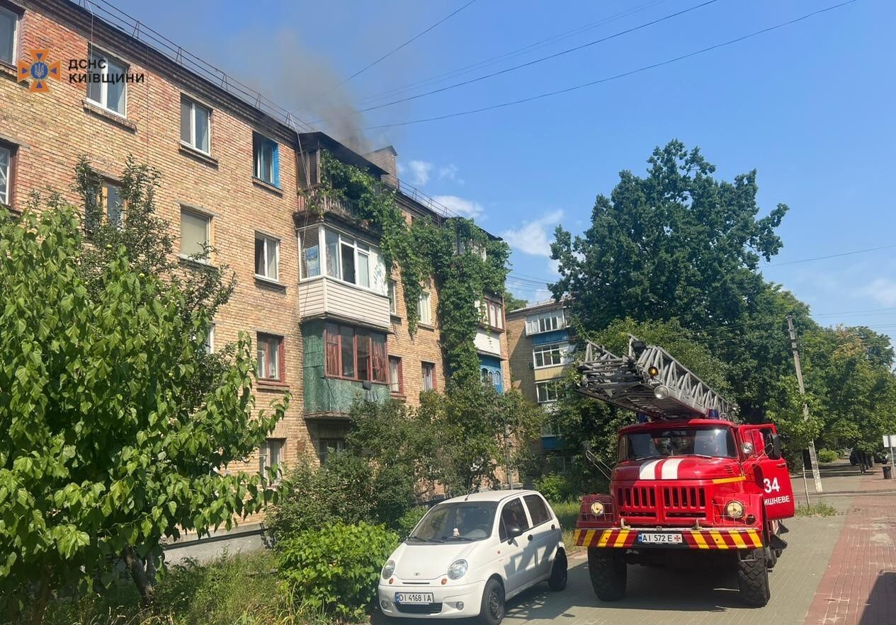 Каждая жизнь важна: под Киевом бойцы ГСЧС во время пожара спасли котика. Подробности и фото