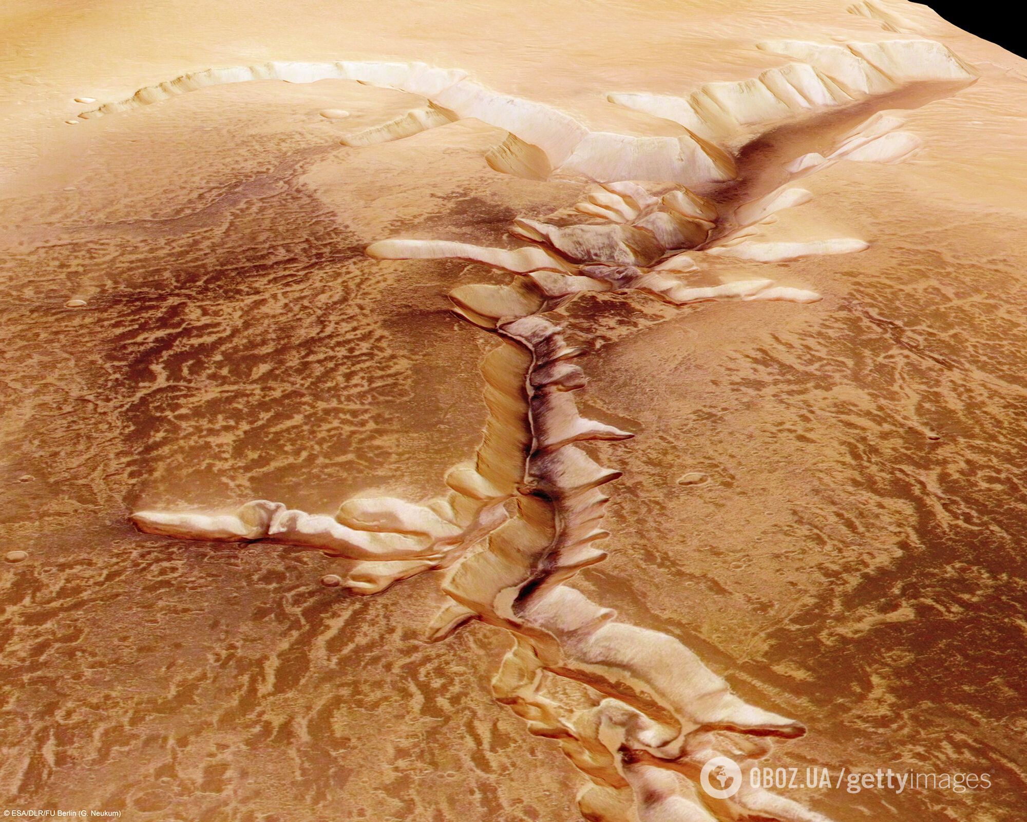 Есть ли жизнь на Марсе? Ученые обнаружили растение, способное выжить на красной планете. Фото