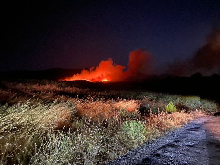 У Туреччині вирують лісові пожежі: полум'я охопило п'ять провінцій, людей евакуюють. Фото