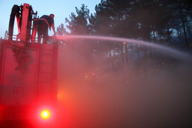 У Туреччині вирують лісові пожежі: полум'я охопило п'ять провінцій, людей евакуюють. Фото