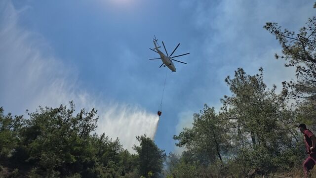 У Туреччині вирують лісові пожежі: полум'я охопило п'ять провінцій, людей евакуюють. Фото