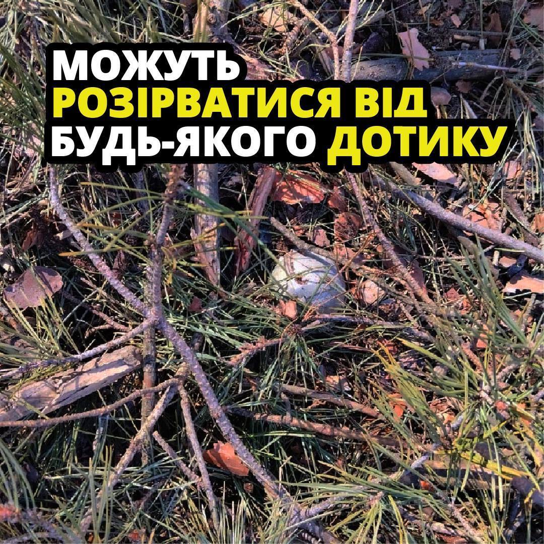 Вибухові "м'ячики": в ДСНС попередили про новий вид мінної небезпеки. Фото