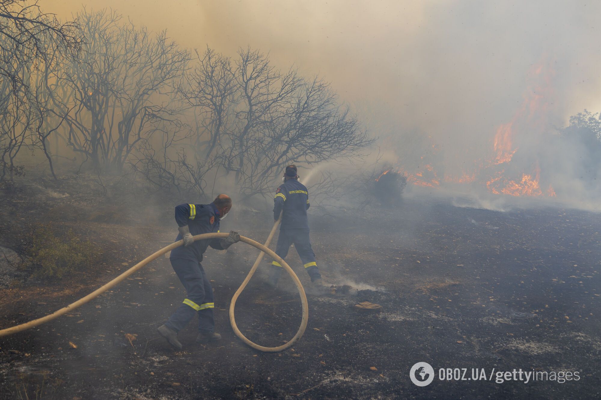 Що відбувається з погодою на Землі: кліматологиня пояснила вбивчу спеку, рекордні опади та люті лісові пожежі