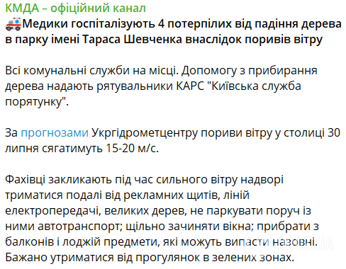 В Киеве в парке Шевченко большое дерево упало на пешеходов: один человек погиб. Фото и видео