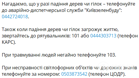 В Киеве в парке Шевченко большое дерево упало на пешеходов: один человек погиб. Фото и видео