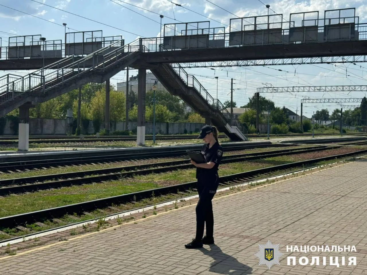 На Київщині пенсіонерка скинула собаку із залізничного мосту. Подробиці справи
