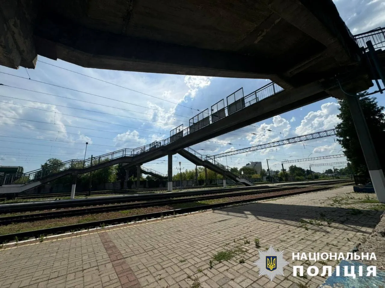 В Киевской области пенсионерка сбросила собаку с железнодорожного моста. Подробности дела