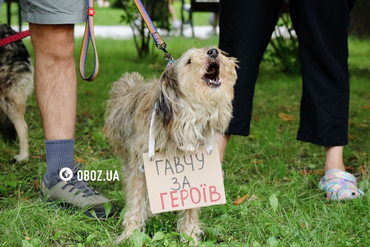"Они задонатили свою жизнь": в Киеве прошла акция Free Azov. Фото