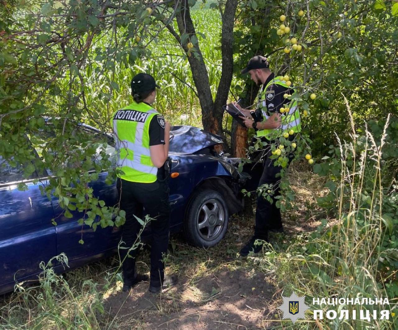 Стало погано за кермом: на Київщині легковик врізався в дерево, водій загинув. Подробиці і фото