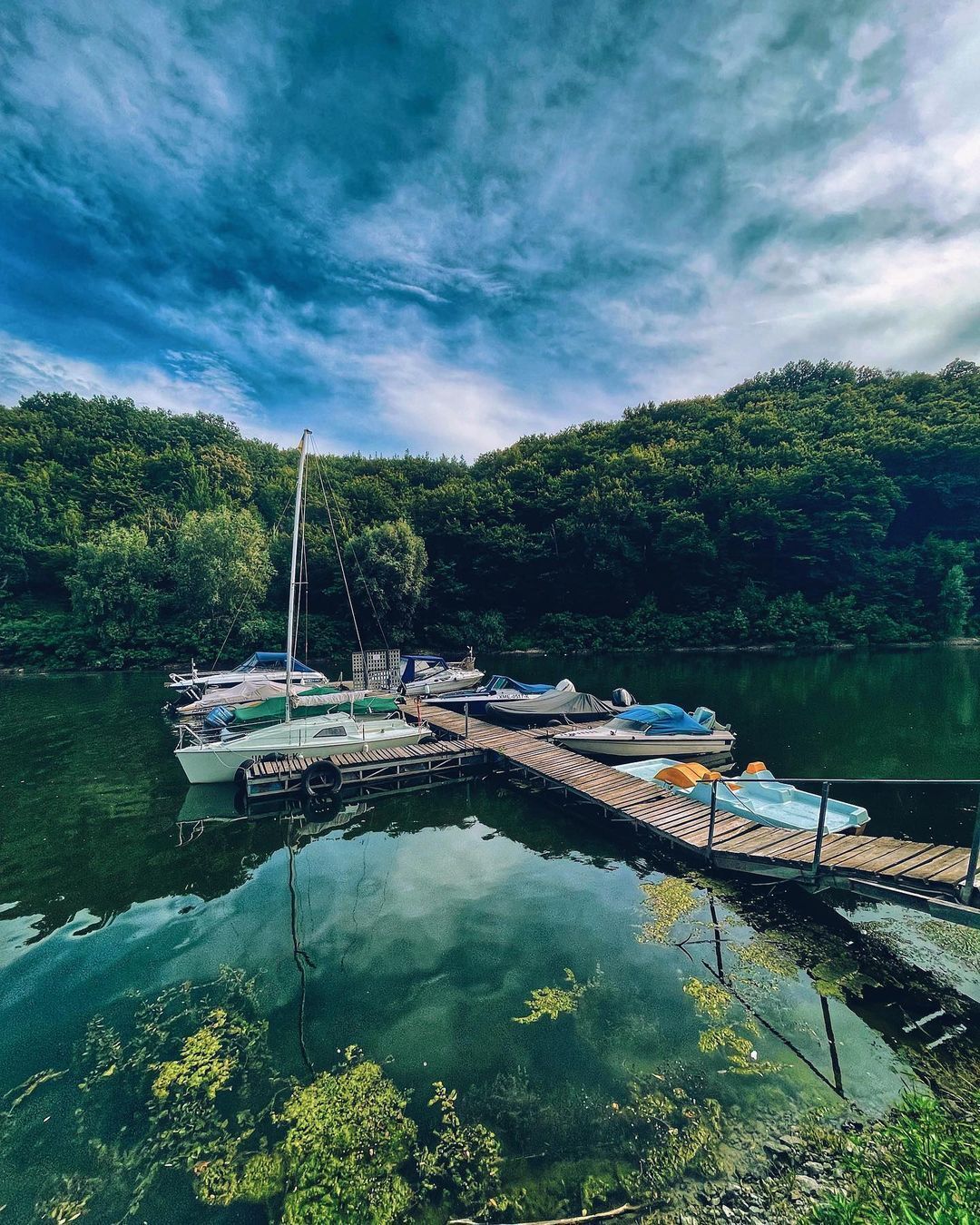 Дністер замість моря: ціни, умови та сервіс