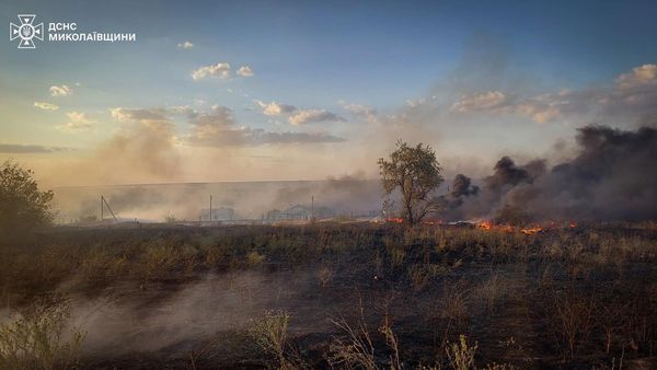 Горіли шини і суха трава: у Миколаєві спалахнула масштабна пожежа. Фото
