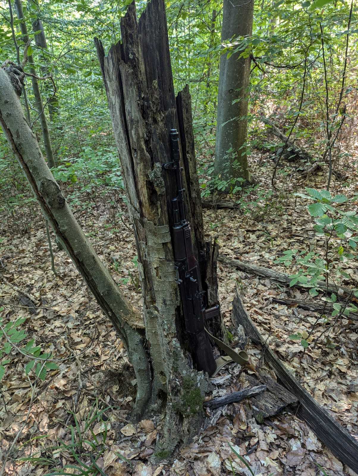 У Румунії затримали озброєних українців, які напали на закарпатських прикордонників – ЗМІ