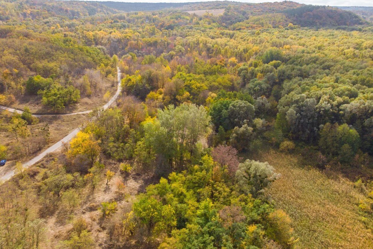 На Київщині посадовці незаконно передали у приватну власність 2 гектари ландшафтного парку вартістю 72 млн грн