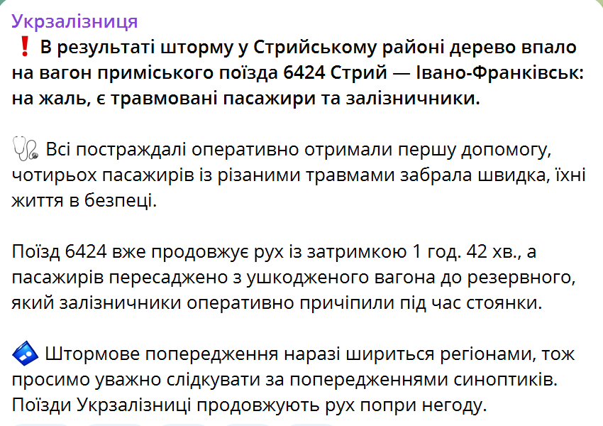 В Львовщине дерево упало на поезд: есть травмированные пассажиры и железнодорожники. Фото