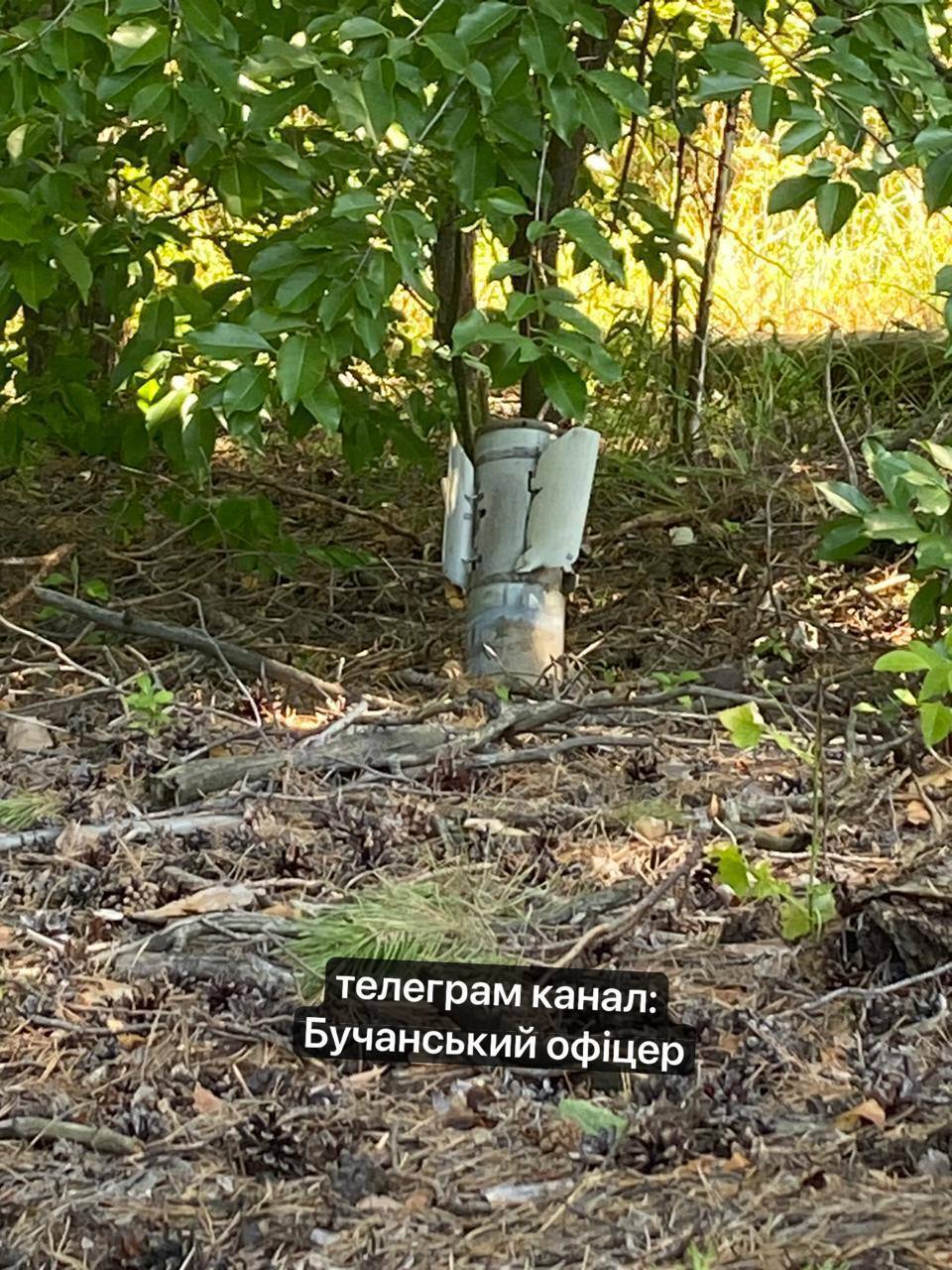 Під Києвом у лісі знайшли нездетонований снаряд від "Граду". Фото і подробиці