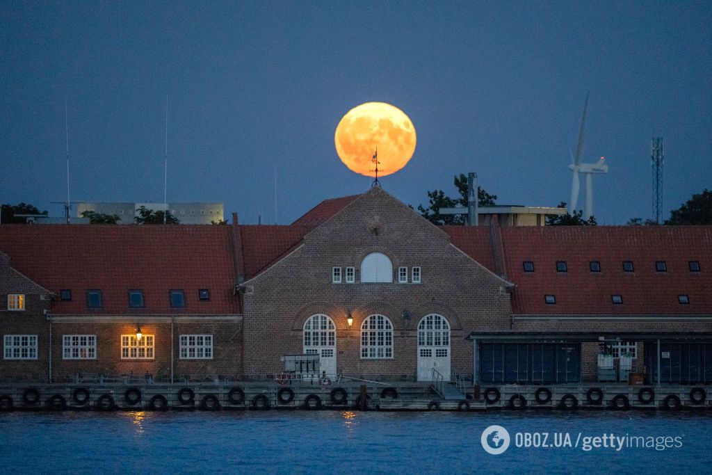 Голубая суперлуна поразила мир: фото и видео яркого астрономического события