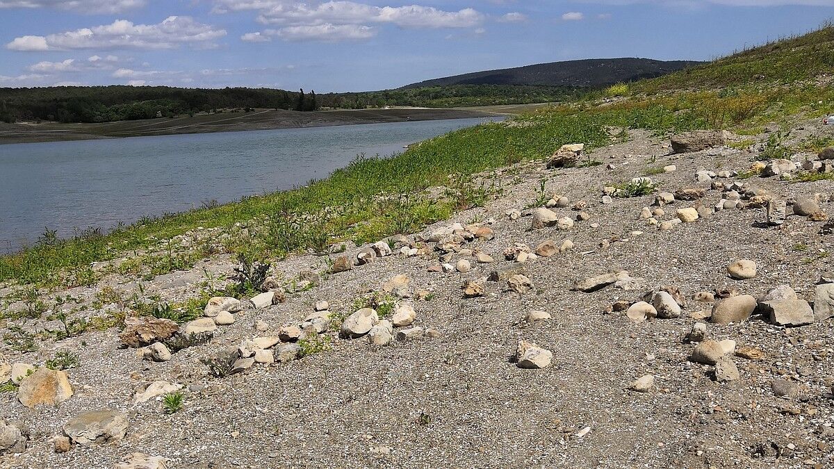 Водосховища пересихають, поливати городи нема чим: до окупованого Криму знову прийшла посуха