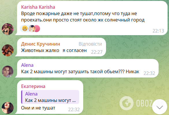 У Ростовській області спалахнула масштабна пожежа: окупанти видали, що горить очерет. Фото й відео